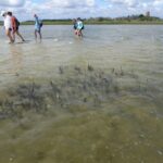 UNC undergrads visit Phillips Island as part of Dr. Niels Lindquist’s class in 2020. Photo: UNC-IMS