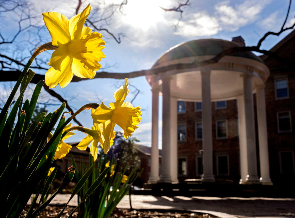 The Old Well and yellow flowers