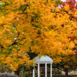 Old Well in fall.